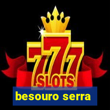 besouro serra-pau morde